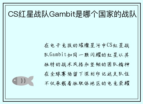 CS红星战队Gambit是哪个国家的战队