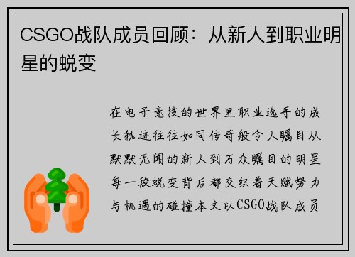 CSGO战队成员回顾：从新人到职业明星的蜕变
